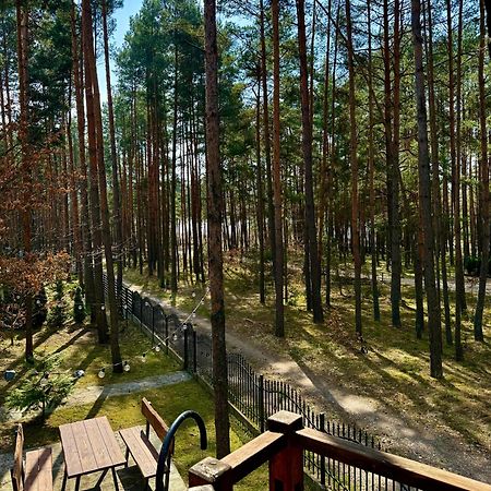 Domek W Lesie Nad Zalewem Chancza 외부 사진