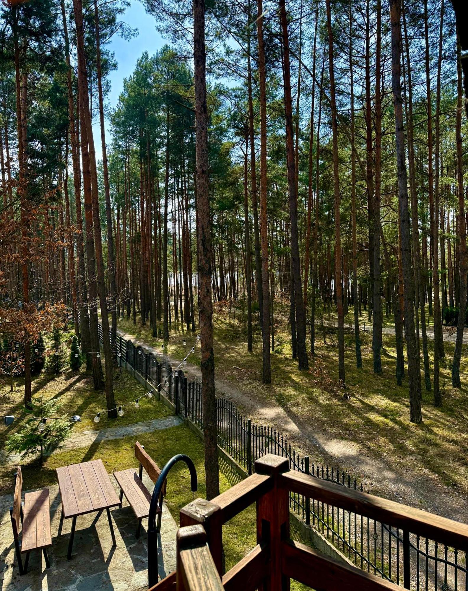 Domek W Lesie Nad Zalewem Chancza 외부 사진
